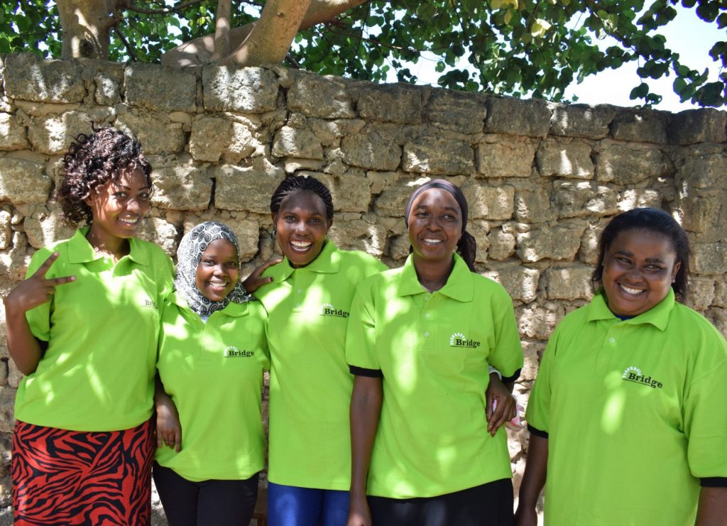 Bridge Kenya Principles of Teaching